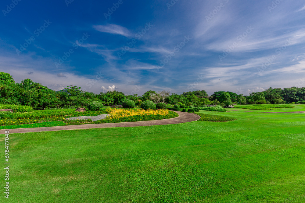 natural background of many species of plants that are laid out in the park, for the propagation of the species and to provide shade for those who stop by while traveling to study the ecology.