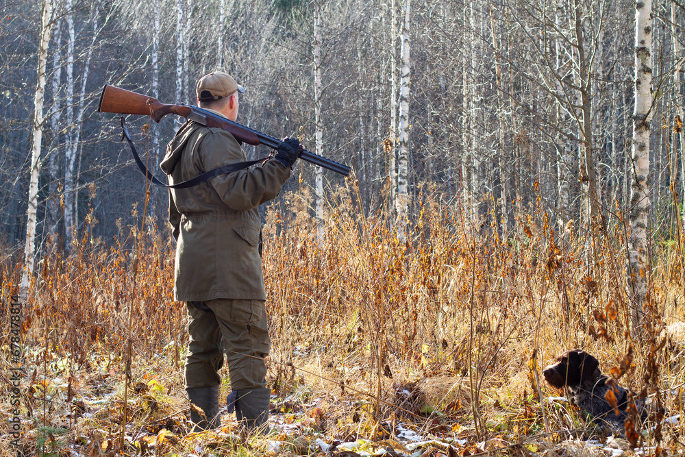 Naklejka premium a hunter and his hunting dog in the birch forest in autumn