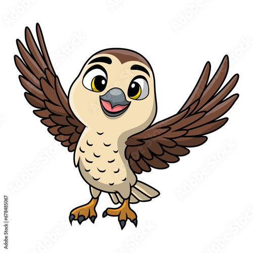 Cute falcon cartoon on white background