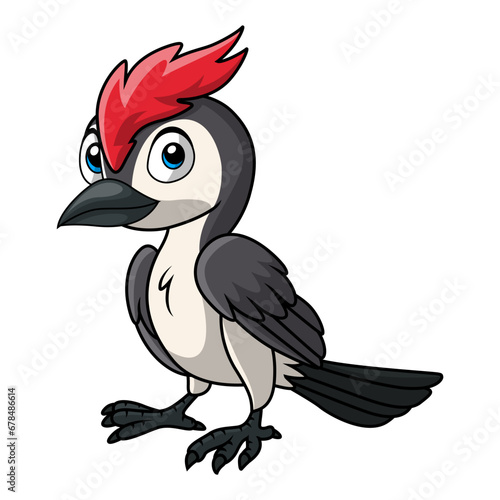 Cute woodpecker cartoon on white background