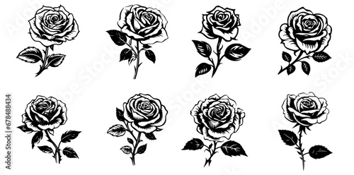 set of black and white rose flowers