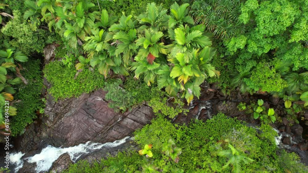 Bird eye drone of upper sauzier waterfall, dense tropical forest with palm trees and granite stone, Mahe Seychelles 30fps 5. Bird eye drone of upper sauzier waterfall, dense tropical forest with palm trees and granite stone, Mahe Seychelles 30fps 5.