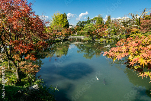 Temple Koi