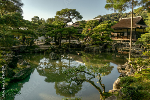 Garden Pond