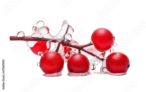 A Frozen Red Berry Encased in a Thin Layer of Ice Cap Isolated on Transparent Background PNG.