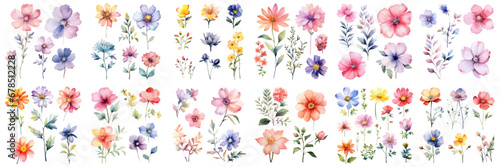 Set of wildflower bouquet collection with watercolor. Set garden pink flowers  leaves  branches  Botanic illustration isolated on white background. Watercolor floral vector for any design.