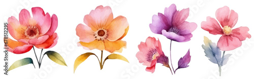 Watercolor floral elements set. Flower pink rose, green leaves. Wedding concept with flowers. beautiful colorful flowers. Vector illustration