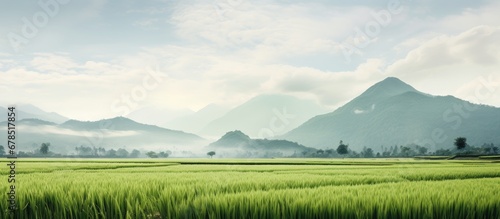 Cloudy day in a mountainous rice field