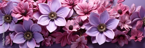 Beautiful Large Flowers On Background Purple   Banner Image For Website  Background abstract   Desktop Wallpaper