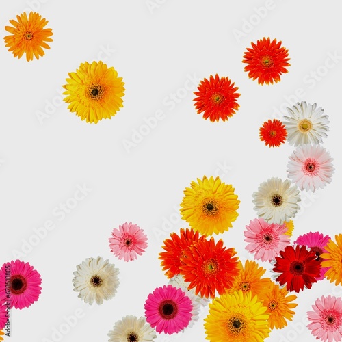 colorful daisy flowers abstract pattern on white background illustration 