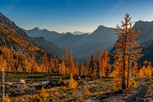 autumn in the forest