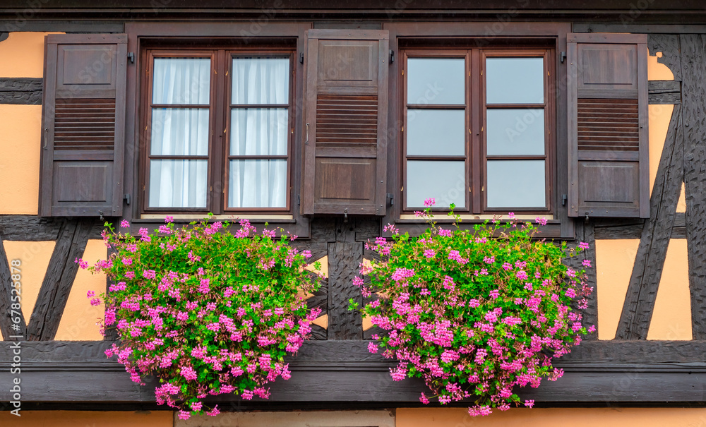 Windows with geraniums on half-timbered house,Alsace, France Windows with geraniums on half-timbered house,Alsace, France