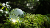 Earth Day, World sustainable environment concept. Crystal Earth In Forest With Ferns And Sunlight. Environment, save clean planet, ecology. Earth Day banner with copy space. ESG. Net Zero.SDGs.