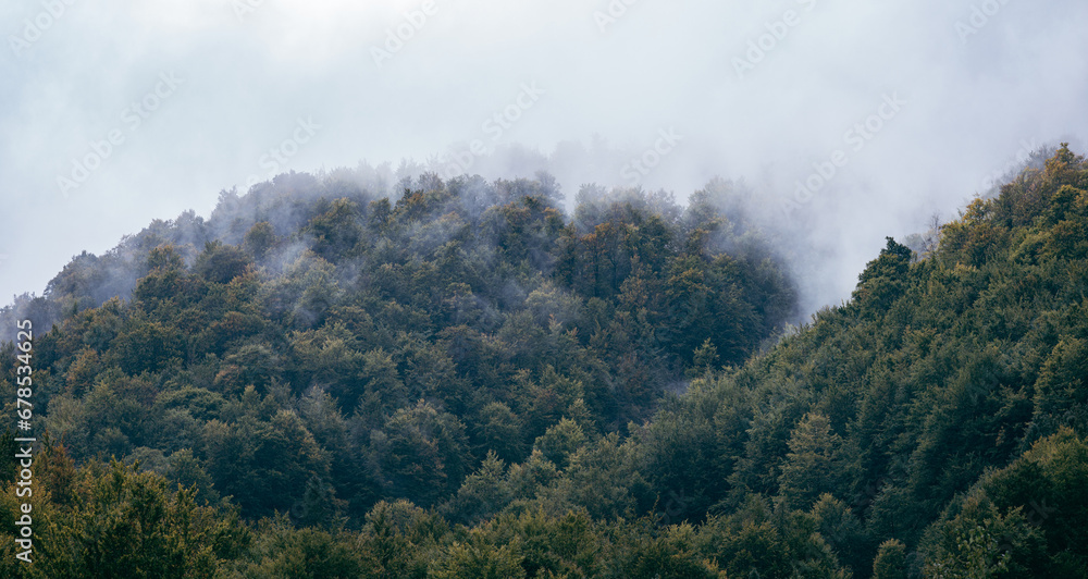 Green forest on foggy mountain hills. Carpathian mountains. Ukraine.