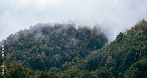 Green forest on foggy mountain hills. Carpathian mountains. Ukraine.