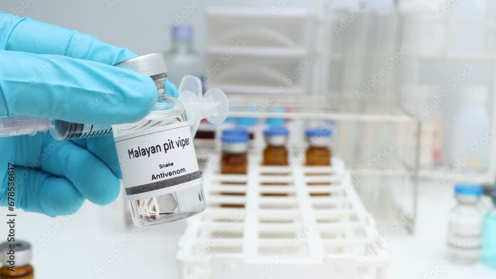Malayan pit viper, Snake antivenoms in a vial, Serum for injection to prevent venom from snake bites, science experiment Malayan pit viper, Snake antivenoms in a vial, Serum for injection to prevent venom from snake bites, science experiment