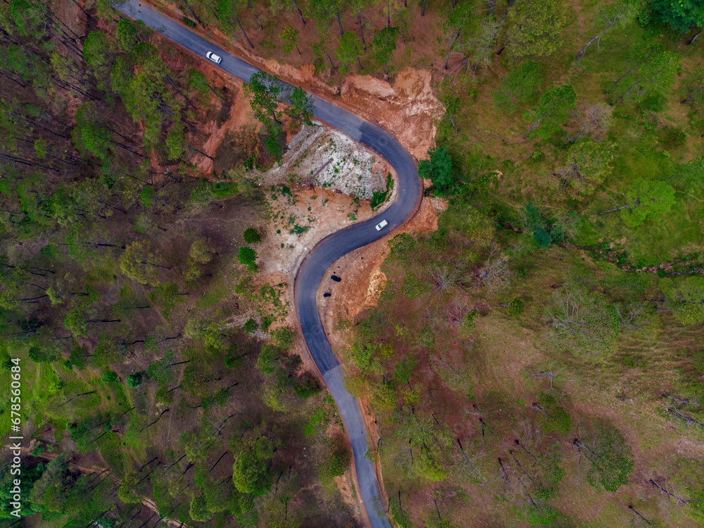 Aerial view of a road through the mountains and pine wood forest