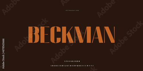 Elegant Font Uppercase Lowercase and Number. Classic Lettering Minimal Fashion Designs. Typography modern Sen Serif fonts regular decorative vintage concept. vector illustration