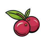 cranberry isolated vector