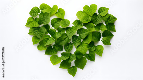 Concept of love for nature in the form of a heart made of leaves