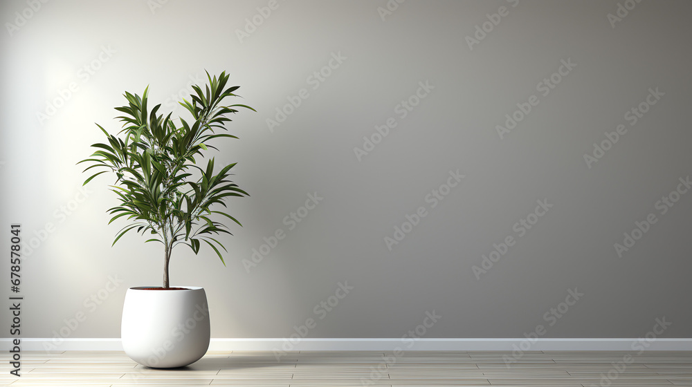 plant in the interior plant in the interior
