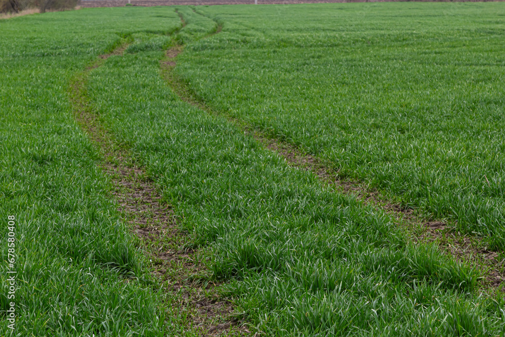 Traces of a tractor in the mud in a wet meadow Traces of a tractor in the mud in a wet meadow