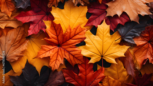 An image of fallen leaves in various shades of red, orange, and yellow, capturing the essence of autumn's warm and inviting color scheme.