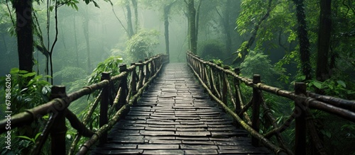 Bamboo bridge leads to paradise