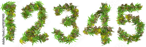 weed and buds numbers letters 3d render