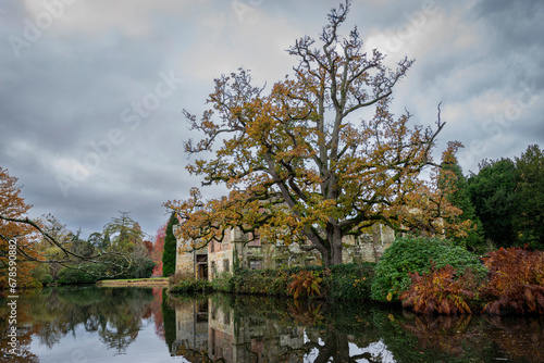 Autumnal colours and the large Oak tree at Scotney Castle in the UK photo