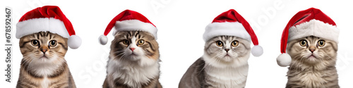 Set of cats wearing Santa Claus hat, Merry Christmas, transparent PNG, isolated © Nattawat