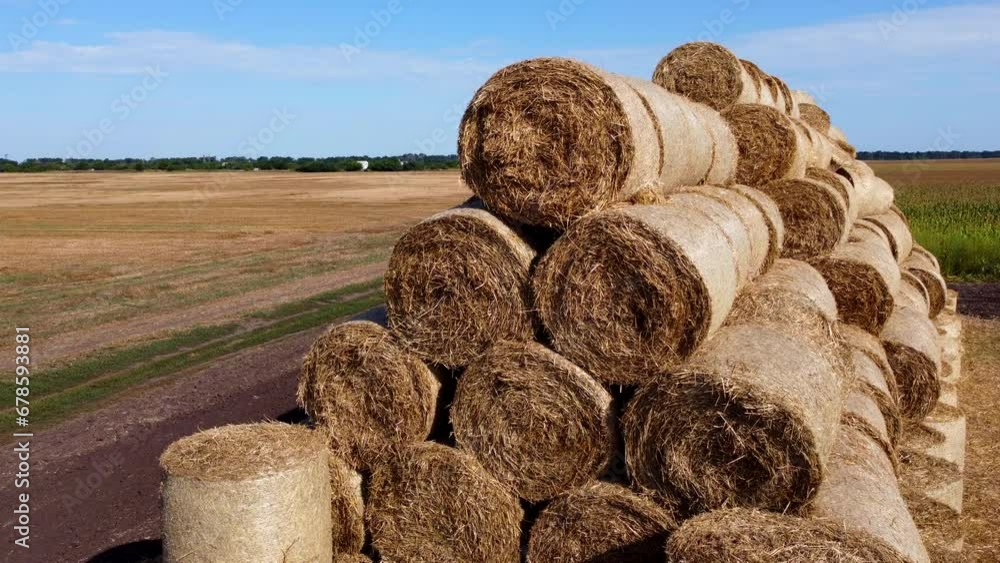 Many bales and rolls of straw after the harvest collected together on field on sunny autumn summer day. Agricultural agro-industrial agrarian landscape. Agribusiness agro business. Aerial drone view. Many bales and rolls of straw after the harvest collected together on field on sunny autumn summer day. Agricultural agro-industrial agrarian landscape. Agribusiness agro business. Aerial drone view.