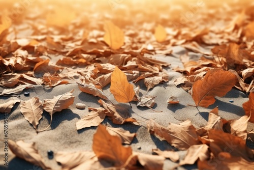 A bunch of leaves laying on top of a sandy beach. This image can be used to depict the beauty of nature and the peacefulness of a beach setting