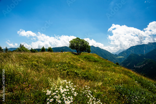 2023 7 16 Folgaria alpine pastures 10.jpg