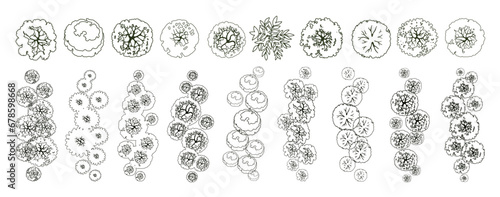 Trees for architectural floor plans. Entourage design. Various trees, bushes, and shrubs, top view for the landscape design plan. Vector illustration.