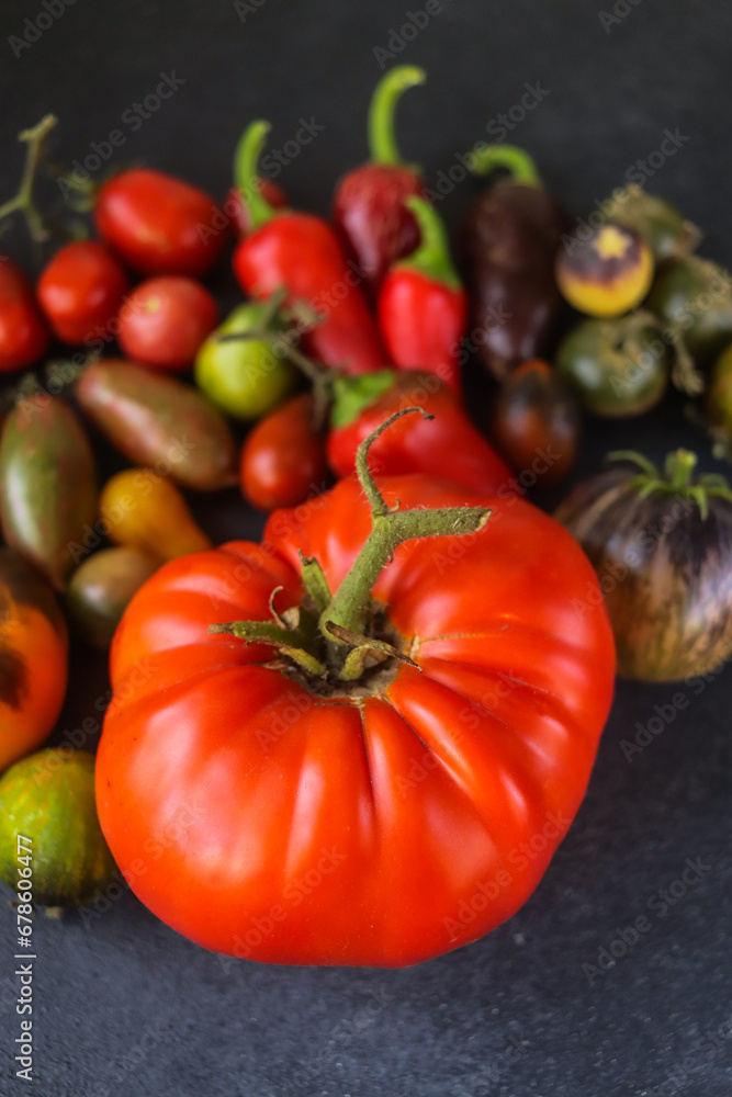 beautiful organic tomatoes of different shades and shapes close-up