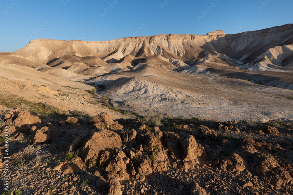 Fototapeta premium Early morning light on the brown and barren Judean Desert in Israel
