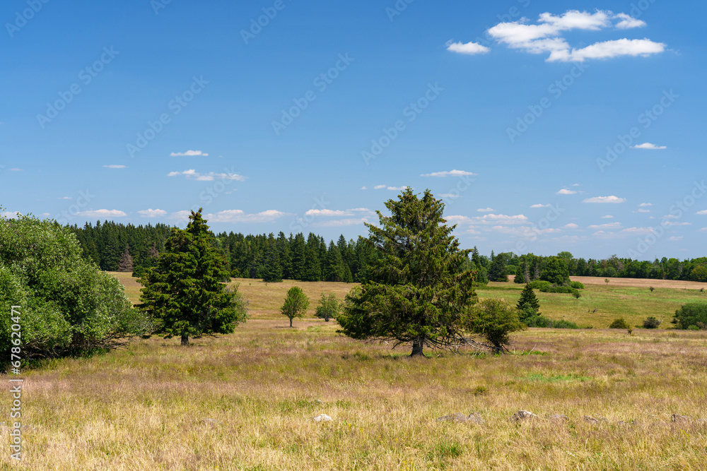 Landschaft im NSG „Hohe Rhön Landschaft im NSG „Hohe Rhön