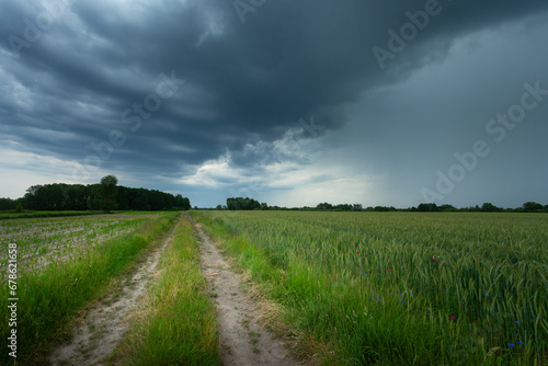 Cloudy sky over dirt road and green field