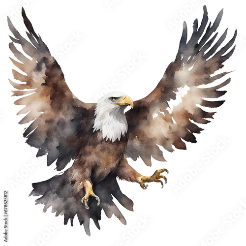 watercolour eagle photo