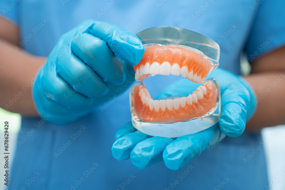 Denture, dentist holding dental teeth model to study and treat in hospital. - obrazy, fototapety, plakaty 