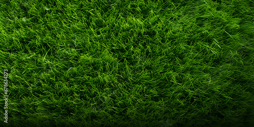 

Natural Grass Background, texture grass field, Top down view of grass texture for sports, Artificial grass field top view texture, grass landscape, garden plants, generative Ai photo