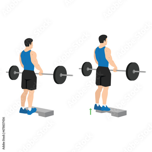 Man doing standing calf raises with barbell exercise. Flat vector illustration isolated on white background