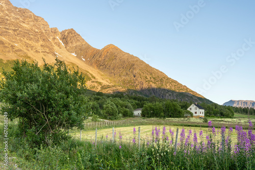A Farm in the Valley on a beautiful summer evening, Lyngen Alps, Northern Norway