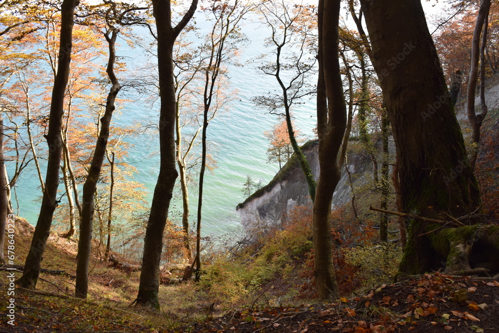 Wanderung im Jasmund Nationalpark auf Rügen Wanderung im Jasmund Nationalpark auf Rügen