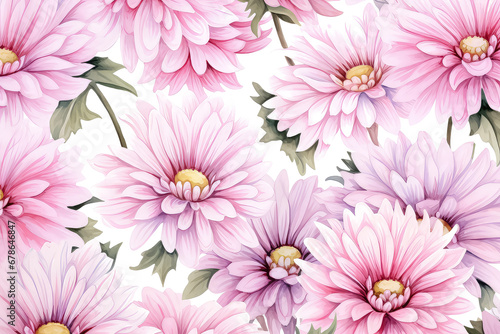 pink chrysanthemum flowers watercolor on white background  valentines day concept