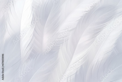 Beautiful Fluffy Grey Feather Abstract Feather Background