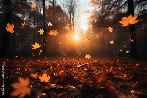 Autumn forest, falling leaves.