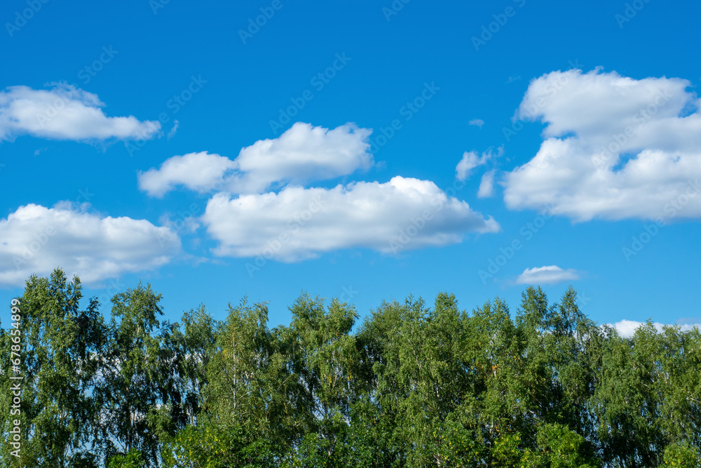 Green forest and blue sky. White clouds over trees.