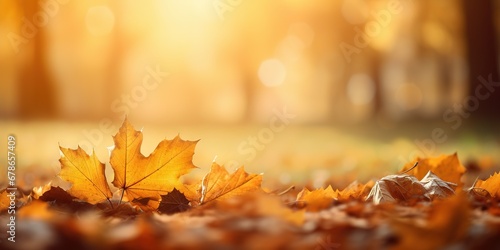 Sunlit Autumn Bliss Maple Leaves on Park Carpet, Generative AI